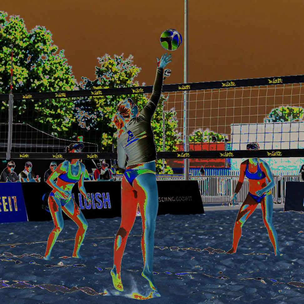 Nhật Bản và cuộc đua giành vé Olympic 2028: Khi sự thống trị trở thành gánh nặng