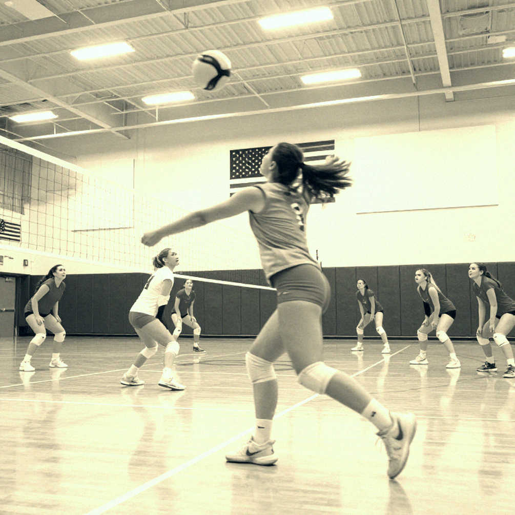 Vietnam Women's Volleyball: The Structure Behind a First-Ever World Championship Berth Vietnam Women's Volleyball: The Structure Behind a First-Ever World Championship Berth