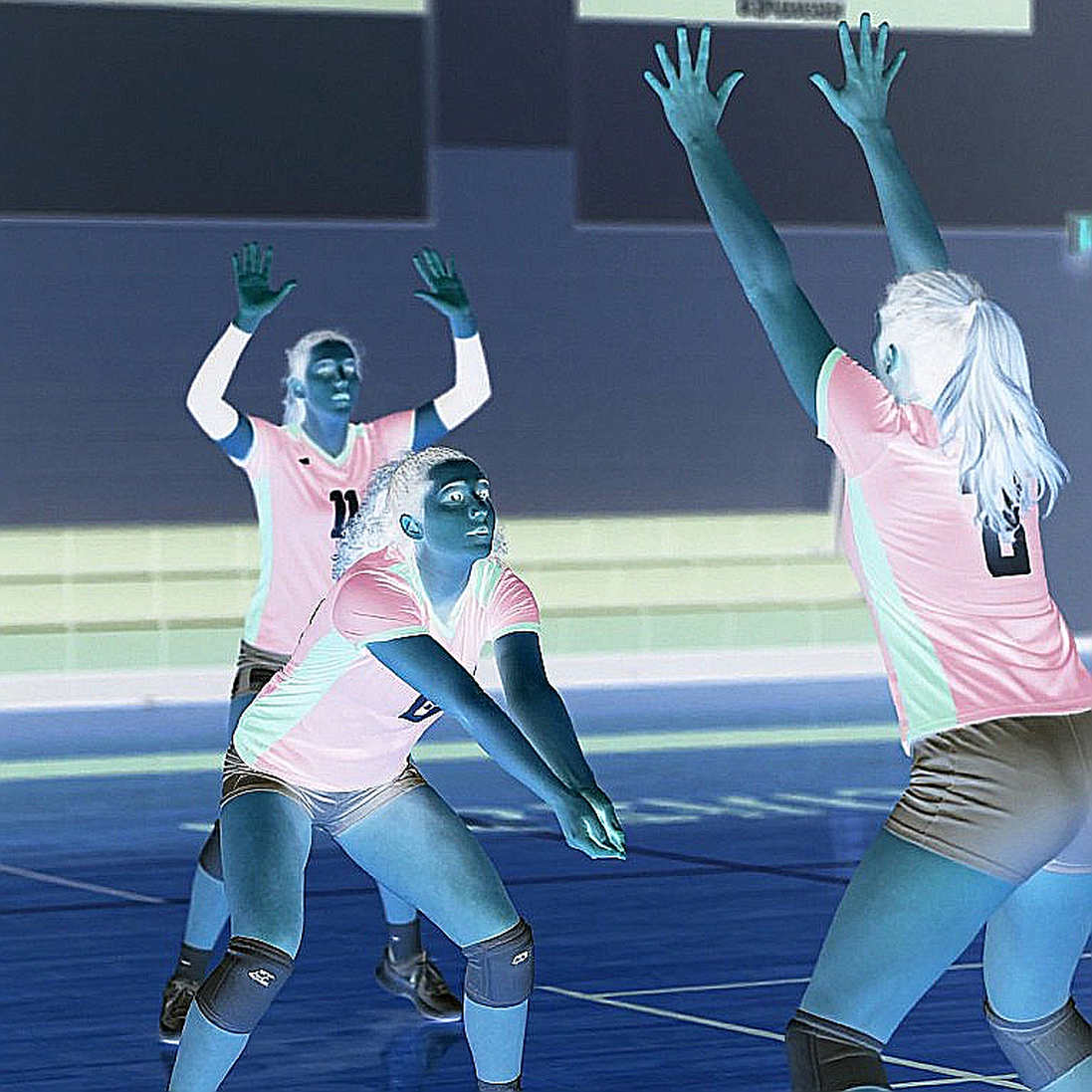 Vietnam's Volleyball Analysis Trade: The Gap That Sits Off the Court Vietnam's Volleyball Analysis Trade: The Gap That Sits Off the Court
