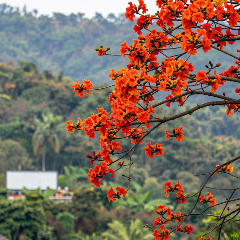 Copenhagen 5km Road: Dawit Seare Wins in 12:56, Ingebrigtsen Second Eight Days After Budapest